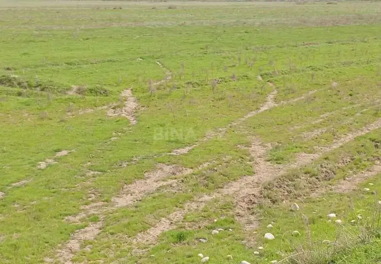1428 sot Torpaq Satılır, Hacıqabul