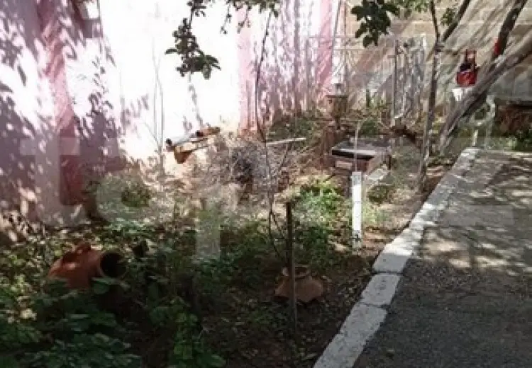 8 otaqlı mənzil , Şamaxı