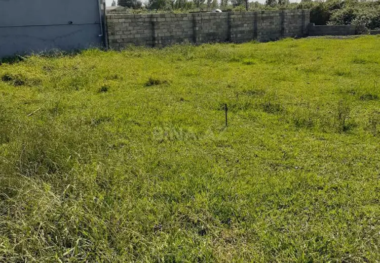 6 sot Torpaq Satılır, Astara