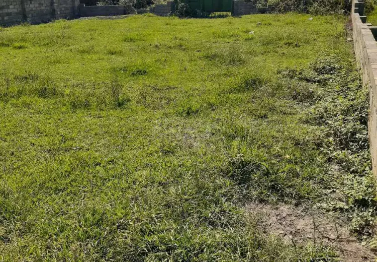 6 sot Torpaq Satılır, Astara