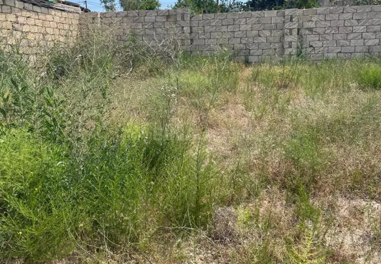 1.9 sot Torpaq Satılır, Novxanı, Abşeron