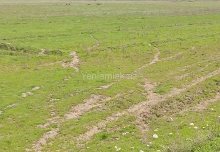 1428 sot Torpaq Satılır, Hacıqabul