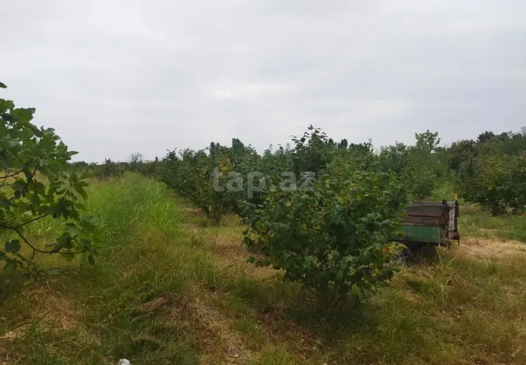 0 m² Obyekt / Ofis , Xaçmaz