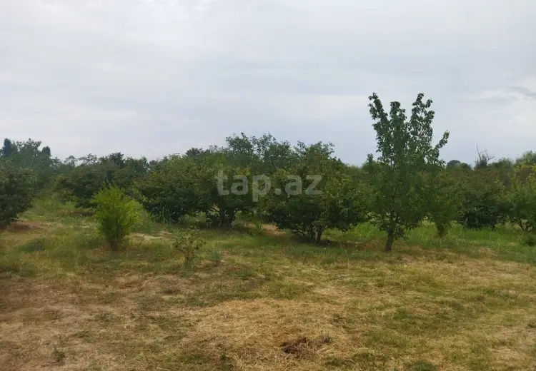 0 m² Obyekt / Ofis , Xaçmaz
