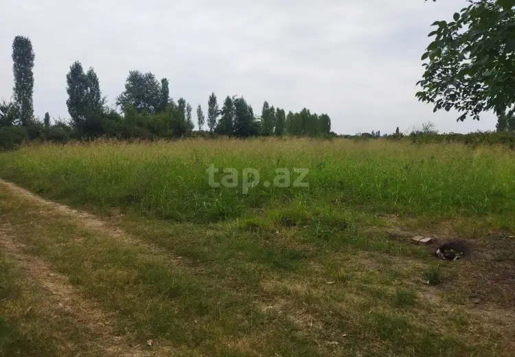 0 m² Obyekt / Ofis , Xaçmaz