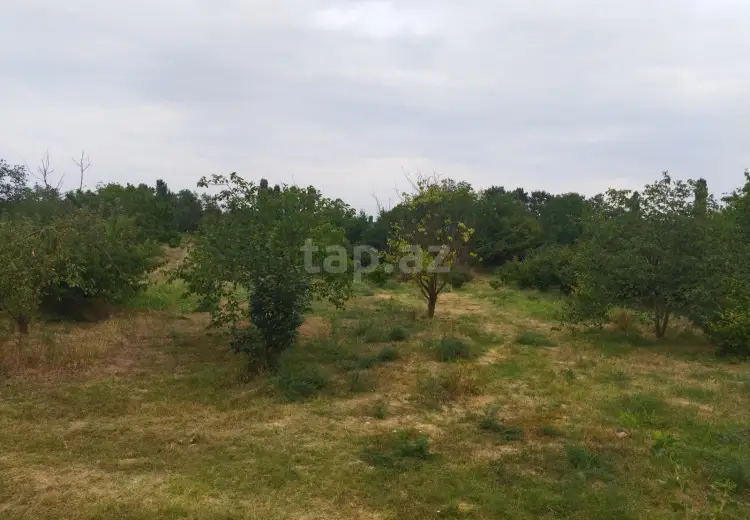 0 m² Obyekt / Ofis , Xaçmaz