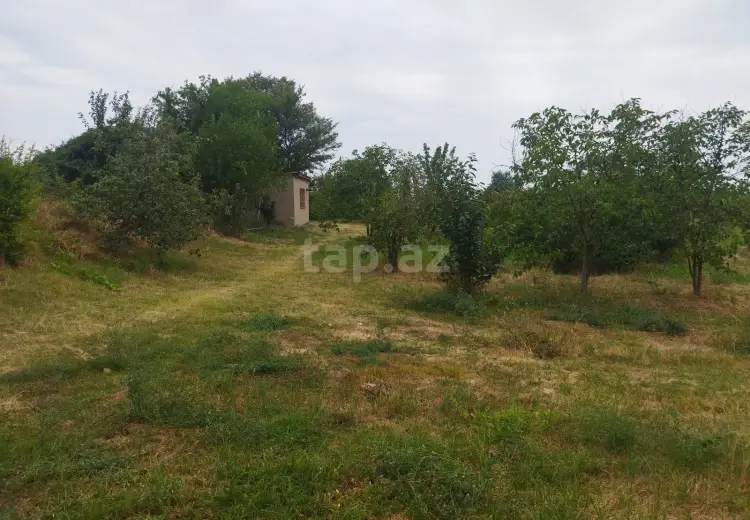 0 m² Obyekt / Ofis , Xaçmaz