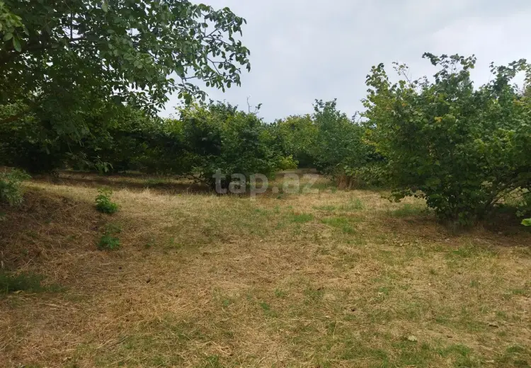 0 m² Obyekt / Ofis , Xaçmaz