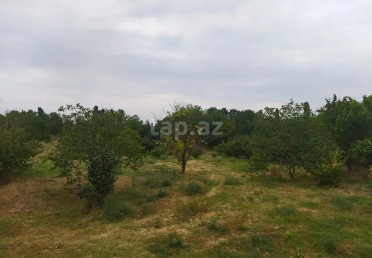 0 m² Obyekt / Ofis , Xaçmaz