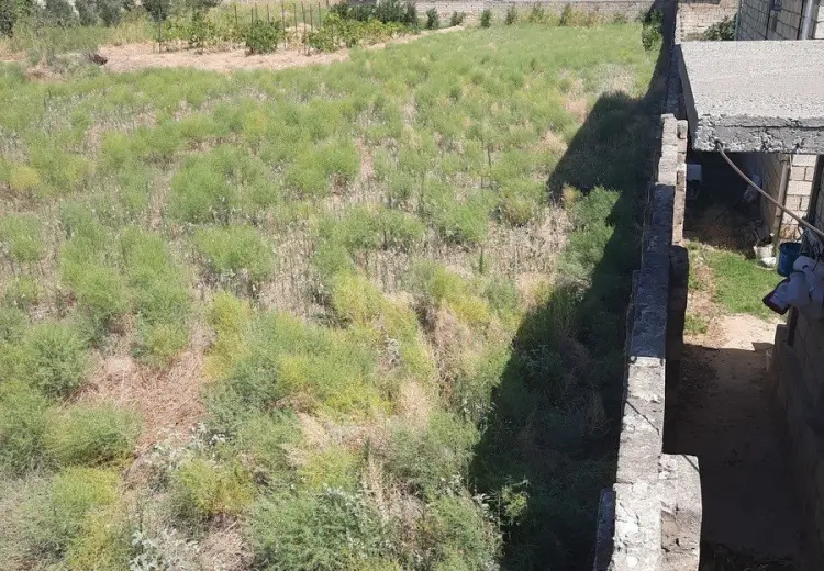 17 sot Torpaq Satılır, Mehdiabad, Abşeron