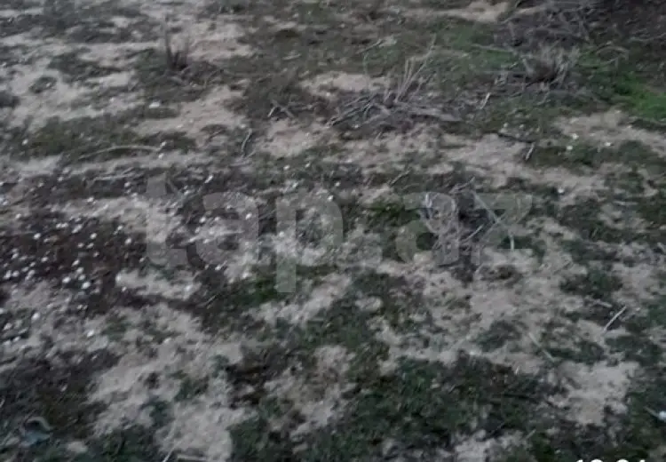 0 m² Obyekt / Ofis , Pirşağı qəs., Sabunçu, Bakı