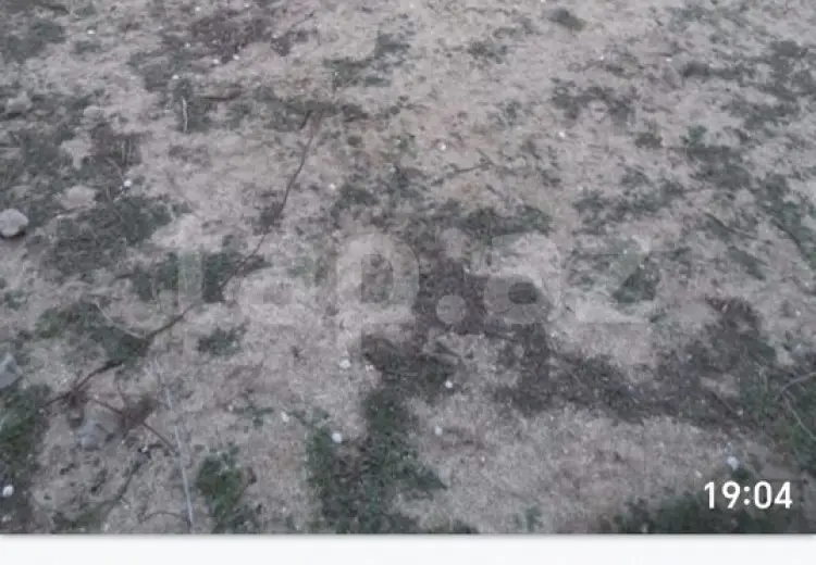 0 m² Obyekt / Ofis , Pirşağı qəs., Sabunçu, Bakı