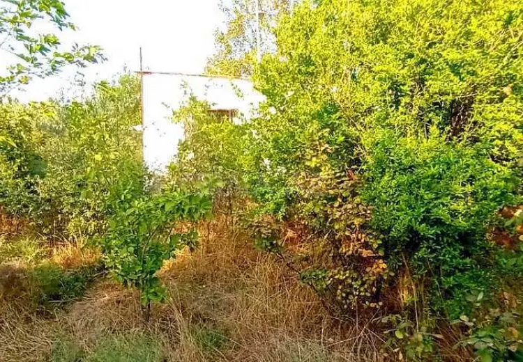112 sot Torpaq Satılır, Qobustan şəh., Qobustan