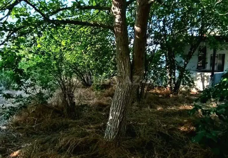 112 sot Torpaq Satılır, Qobustan şəh., Qobustan
