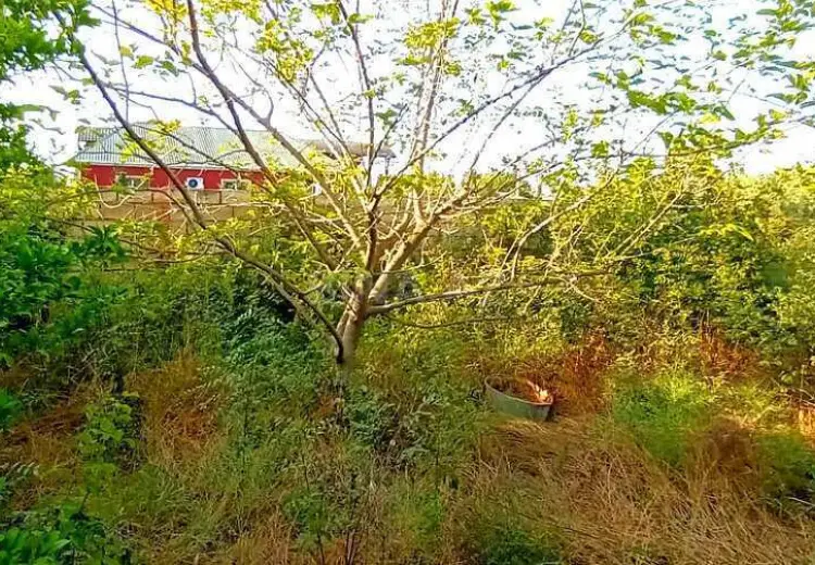 112 sot Torpaq Satılır, Qobustan şəh., Qobustan
