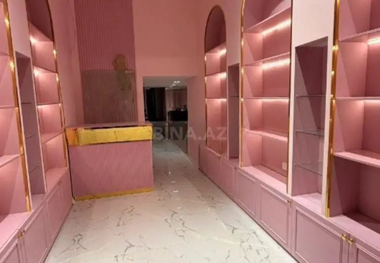 70 m² Obyekt / Ofis Kirayə (aylıq), Nəsimi, Bakı