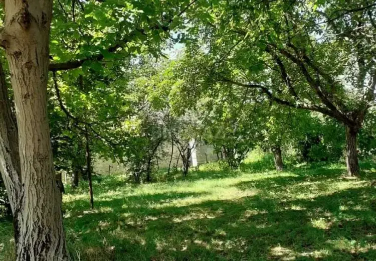 6 otaqlı mənzil Satılır, Şəki