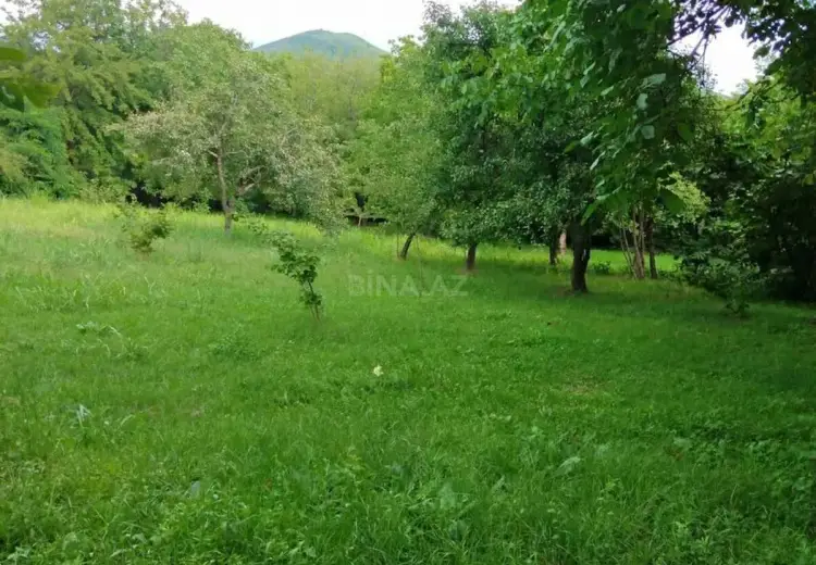 6 otaqlı mənzil Satılır, Şəki