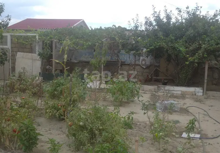 0 m² Obyekt / Ofis , Saray, Abşeron
