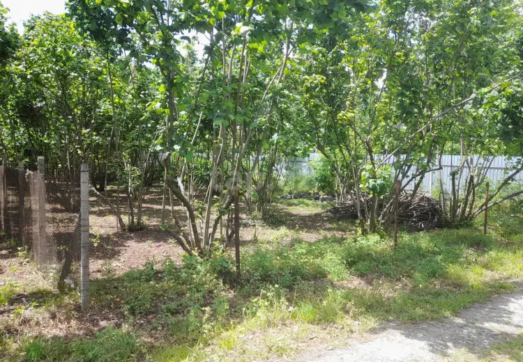 0 m² Obyekt / Ofis , İsmayıllı