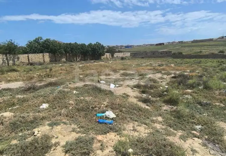 0 m² Obyekt / Ofis , Bakı