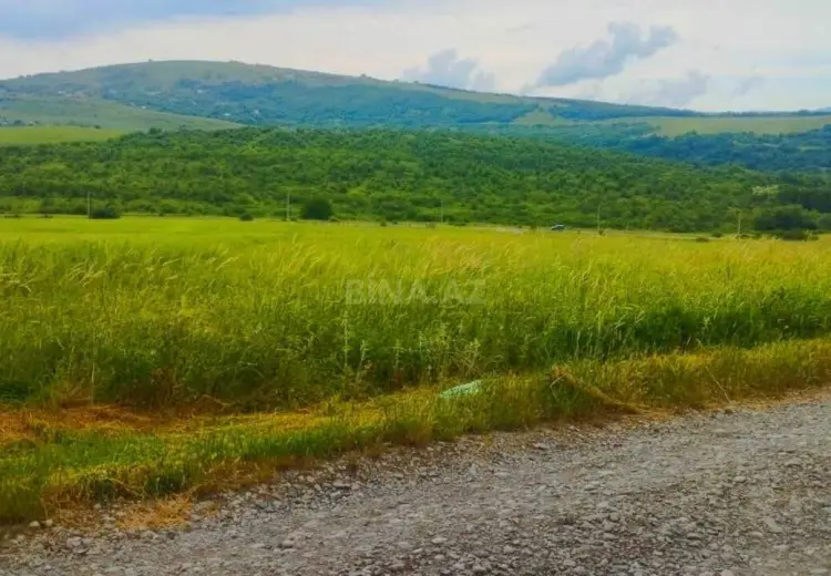 90 sot Torpaq Satılır, Şamaxı