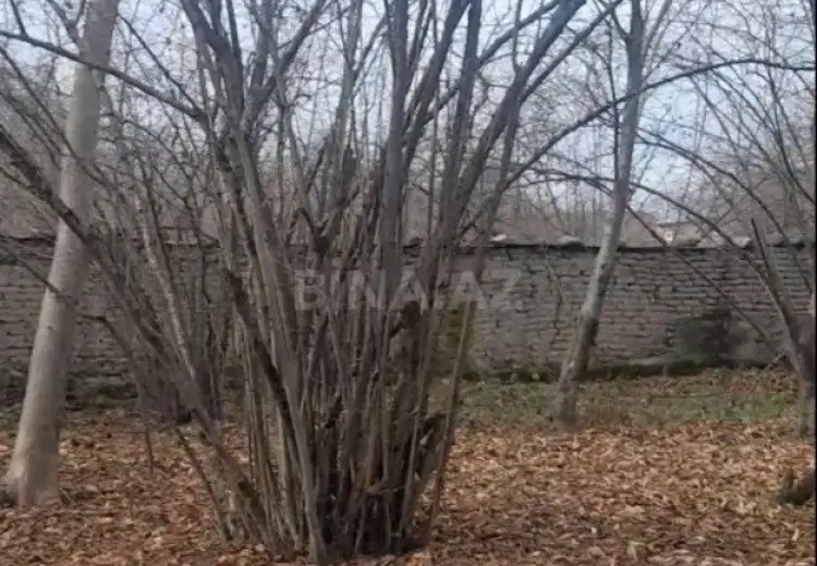 6 sot Torpaq Satılır, Qəbələ