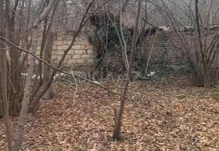 6 sot Torpaq Satılır, Qəbələ
