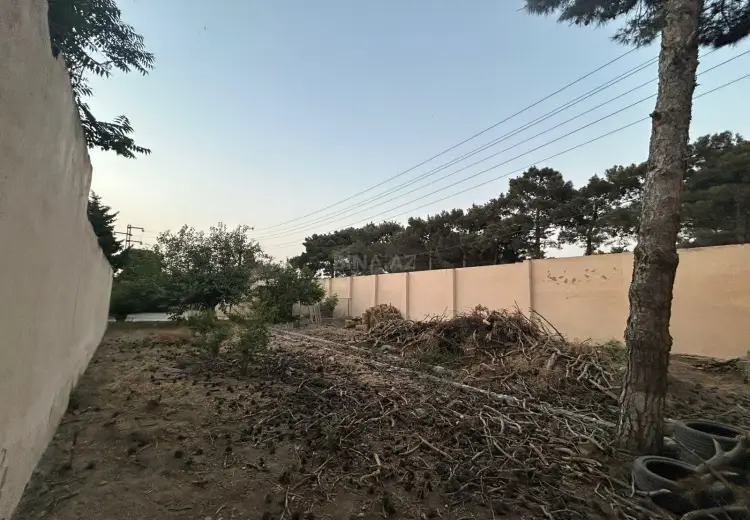 60 sot Torpaq Satılır, Şamaxı