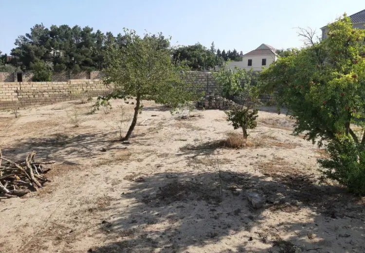 10 sot Torpaq Satılır, Novxanı, Abşeron
