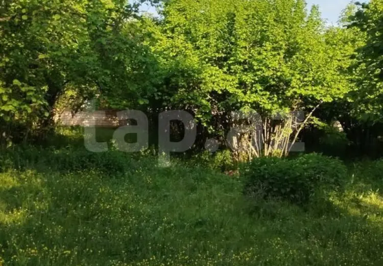0 m² Obyekt / Ofis , Oğuz