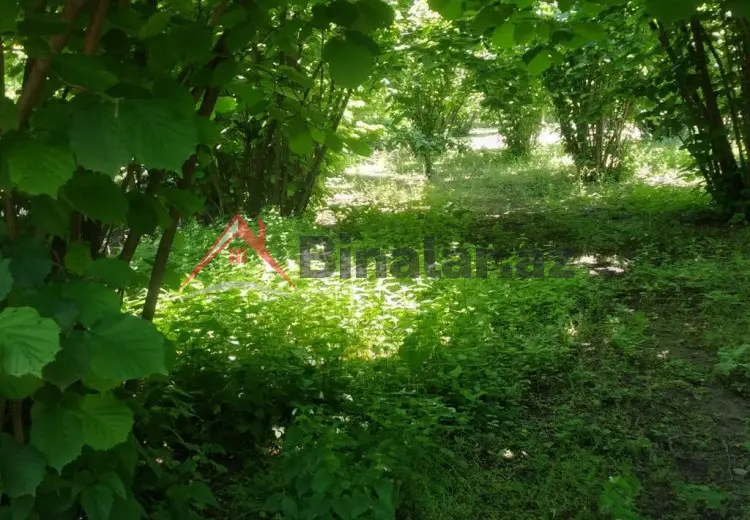 20 sot Torpaq Satılır, Oğuz
