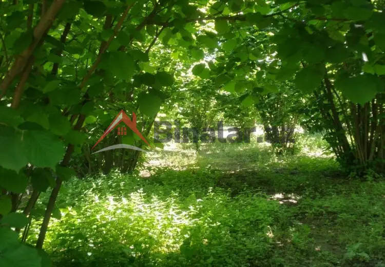 20 sot Torpaq Satılır, Oğuz