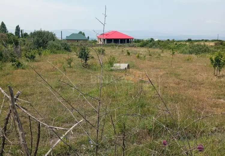 18 sot Torpaq Satılır, Şəki
