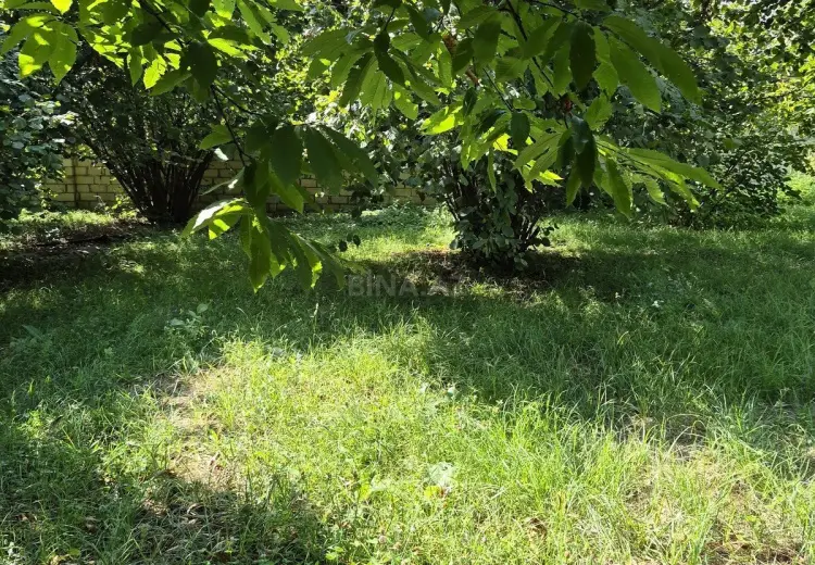 8 sot Torpaq Satılır, Qəbələ