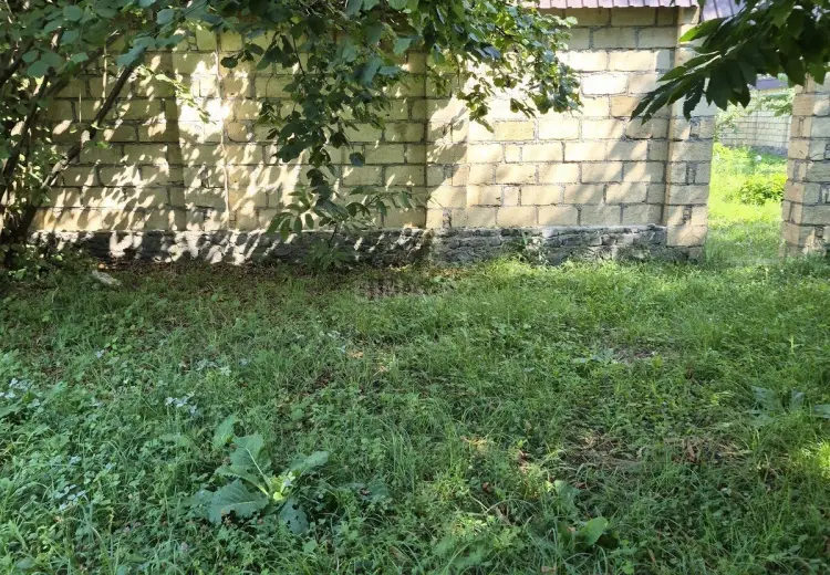 8 sot Torpaq Satılır, Qəbələ