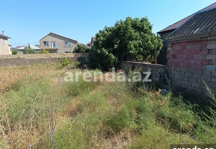 10 sot Torpaq Satılır, Saray, Abşeron