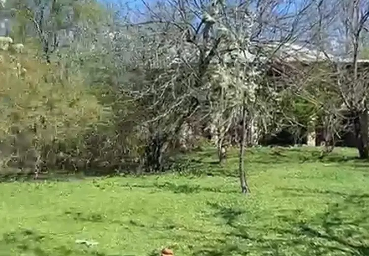 5.2 sot Torpaq Satılır, Qəbələ