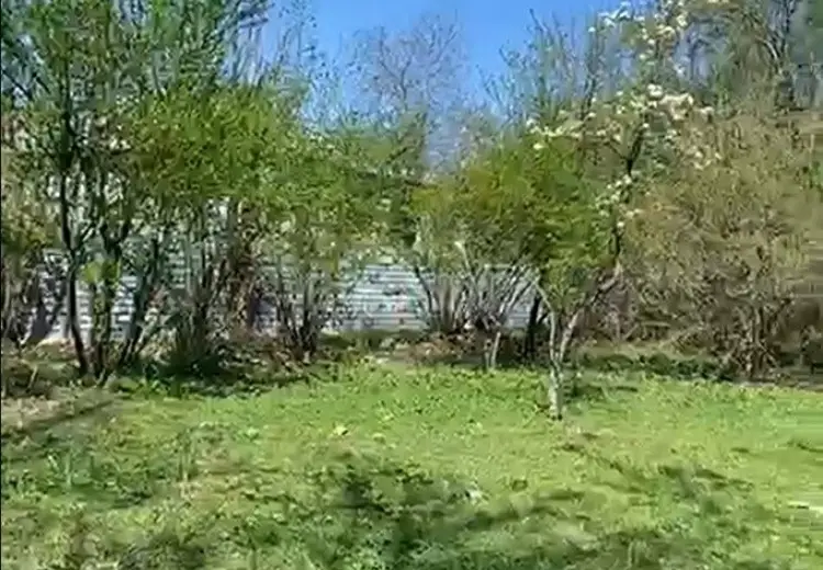 5.2 sot Torpaq Satılır, Qəbələ