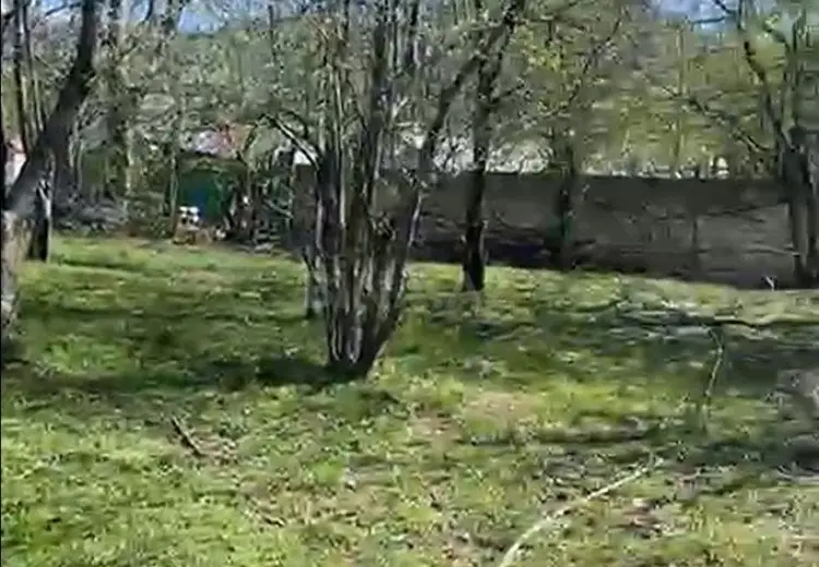 5.2 sot Torpaq Satılır, Qəbələ