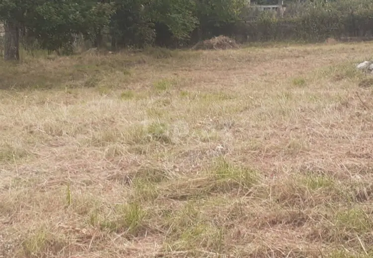 0 m² Obyekt / Ofis , Oğuz