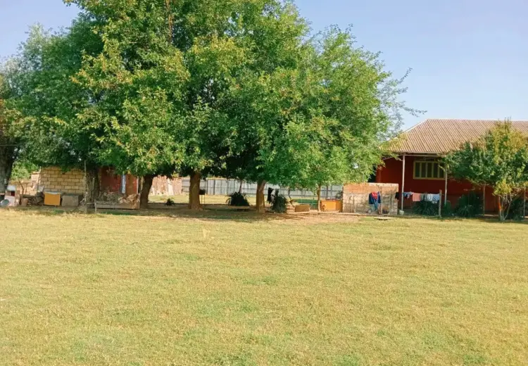 100 sot Torpaq Satılır, Sabirabad