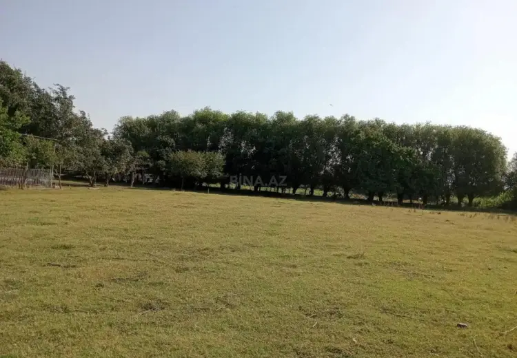 100 sot Torpaq Satılır, Sabirabad