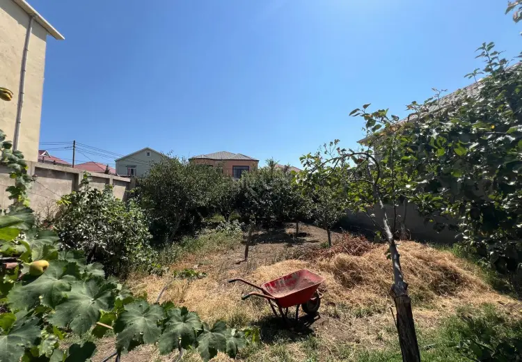 4.3 sot Torpaq Satılır, Qaraçuxur qəs., Suraxanı, Bakı