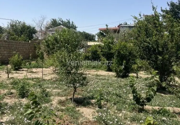 10 sot Torpaq Satılır, Qurd dərəsi, Sumqayıt
