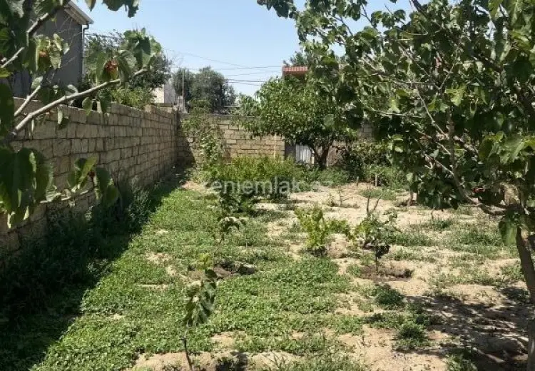 10 sot Torpaq Satılır, Qurd dərəsi, Sumqayıt