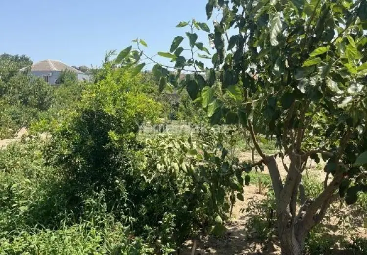 10 sot Torpaq Satılır, Qurd dərəsi, Sumqayıt