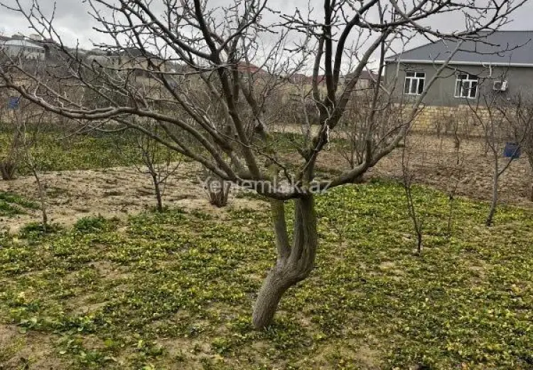 10 sot Torpaq Satılır, Qurd dərəsi, Sumqayıt