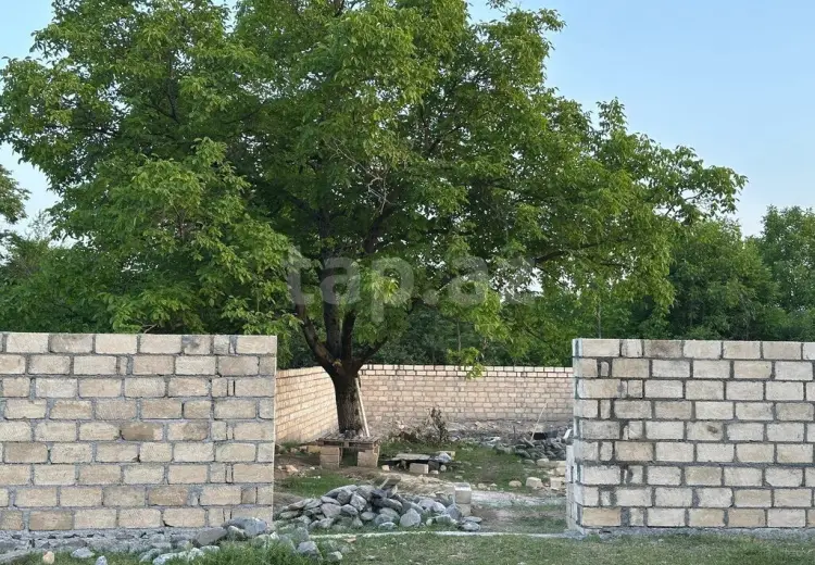 0 m² Obyekt / Ofis , Qəbələ