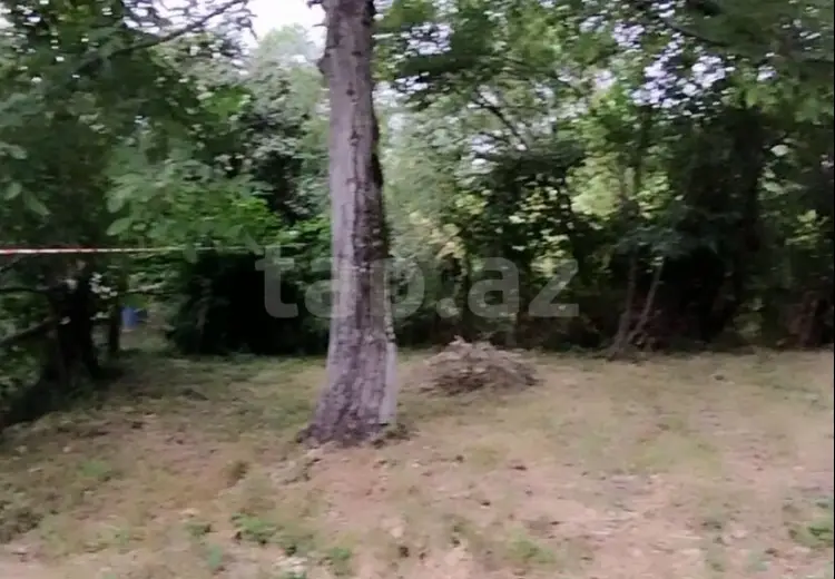 0 m² Obyekt / Ofis , Qəbələ